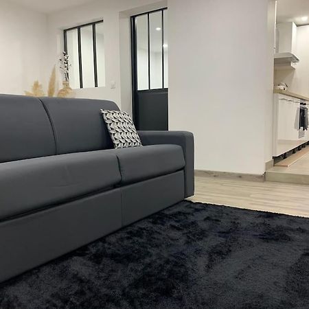 Colmar,Appart Chaleureux 2 Pas Centre Avec Jardin Εξωτερικό φωτογραφία