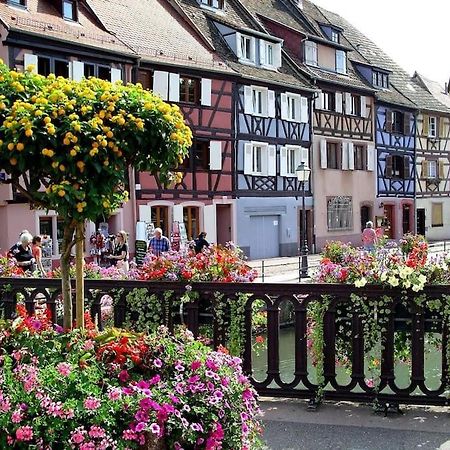 Colmar,Appart Chaleureux 2 Pas Centre Avec Jardin Εξωτερικό φωτογραφία