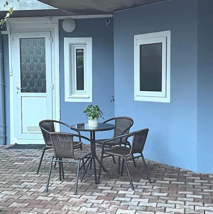 Colmar,Appart Chaleureux 2 Pas Centre Avec Jardin Εξωτερικό φωτογραφία