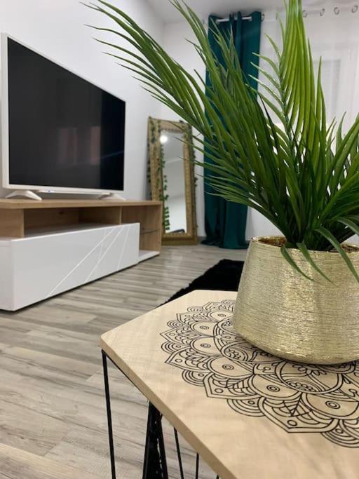 Colmar,Appart Chaleureux 2 Pas Centre Avec Jardin Εξωτερικό φωτογραφία