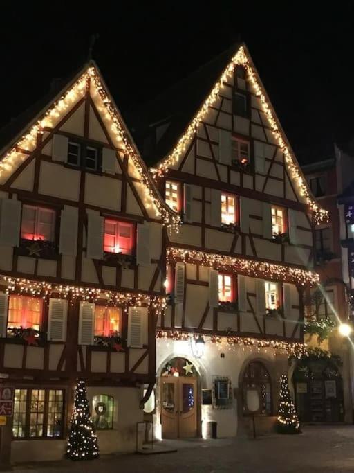 Colmar,Appart Chaleureux 2 Pas Centre Avec Jardin Εξωτερικό φωτογραφία