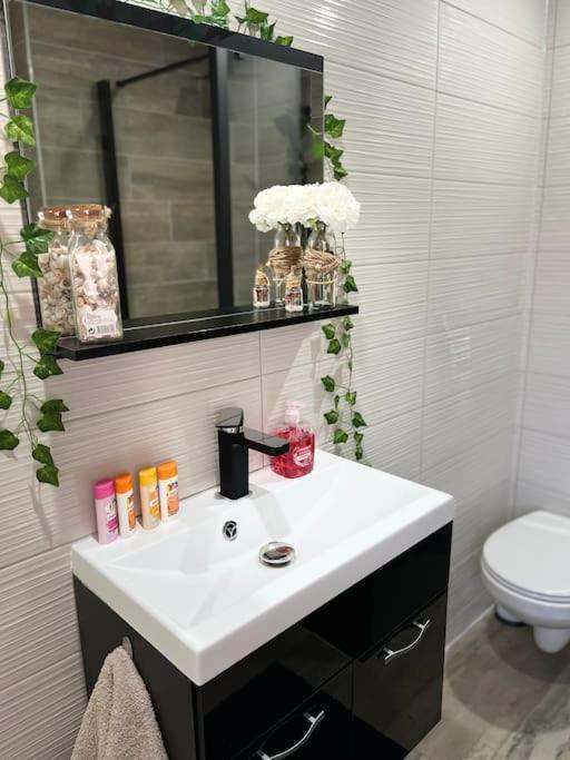 Colmar,Appart Chaleureux 2 Pas Centre Avec Jardin Εξωτερικό φωτογραφία